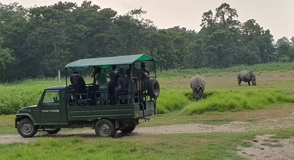 Jeep Safari